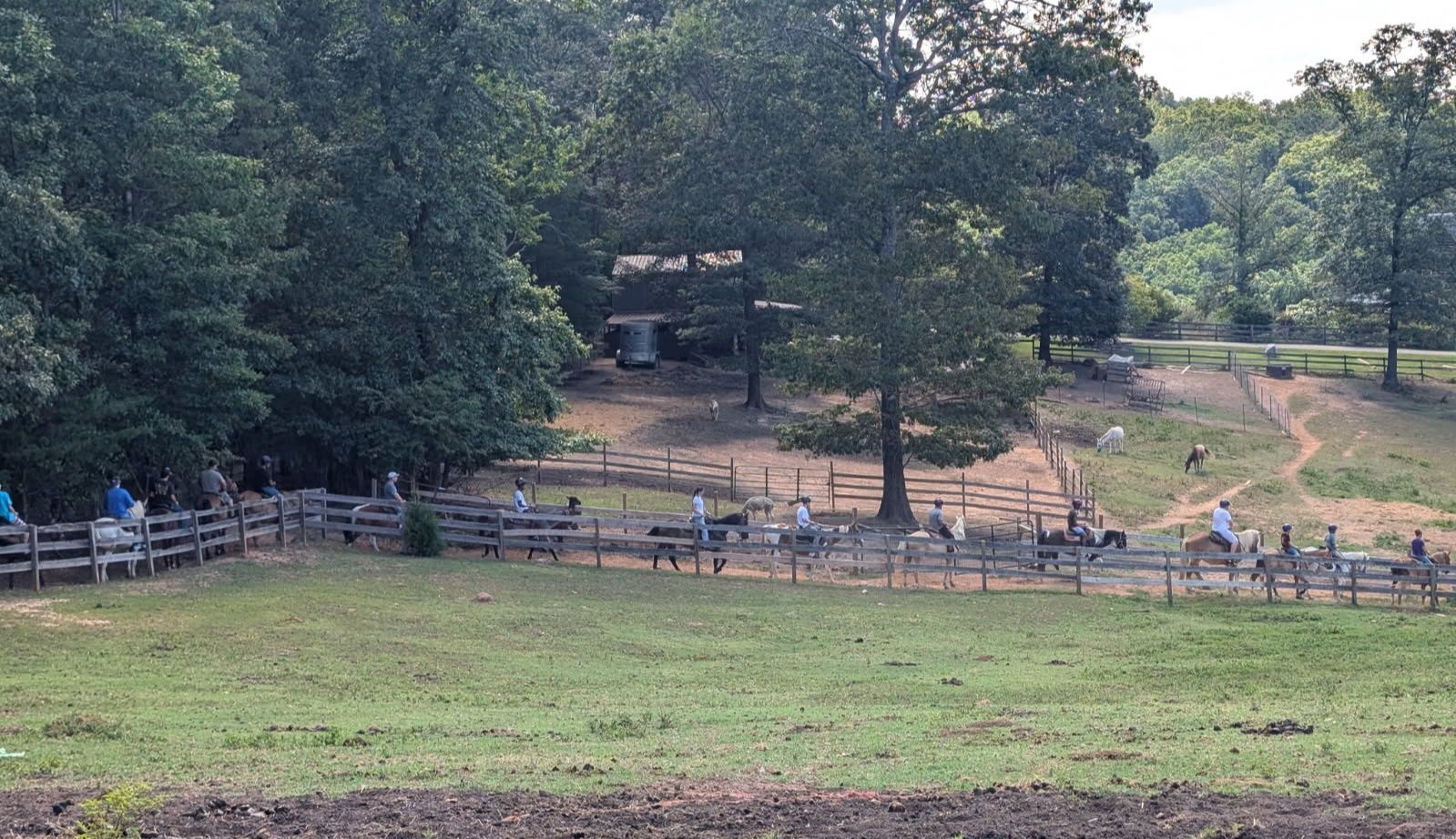 Blanche Manor Horseback Riding at Blissful Owl Ranch | Copperhill TN