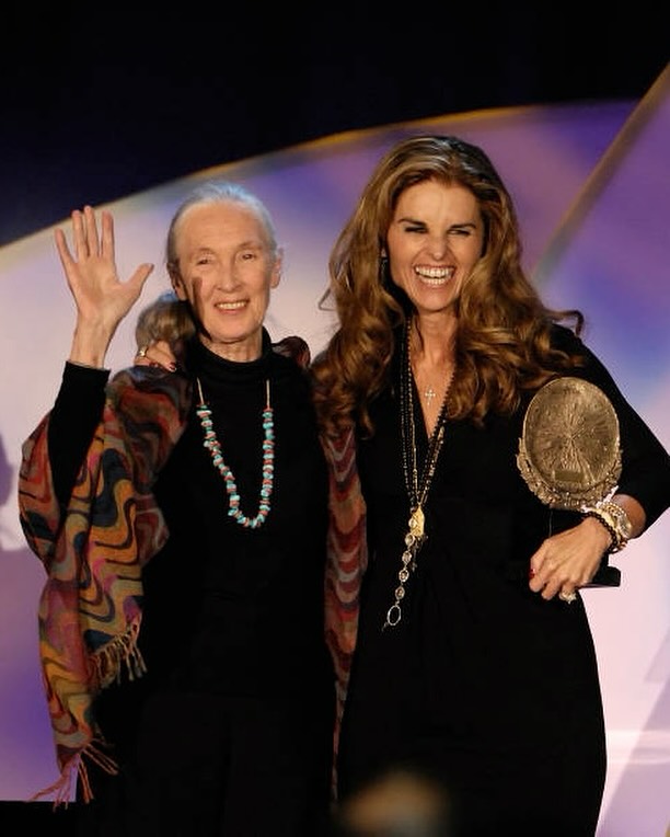 Maria - Jane Goodall was a legendary figure and a friend. I admired her ...
