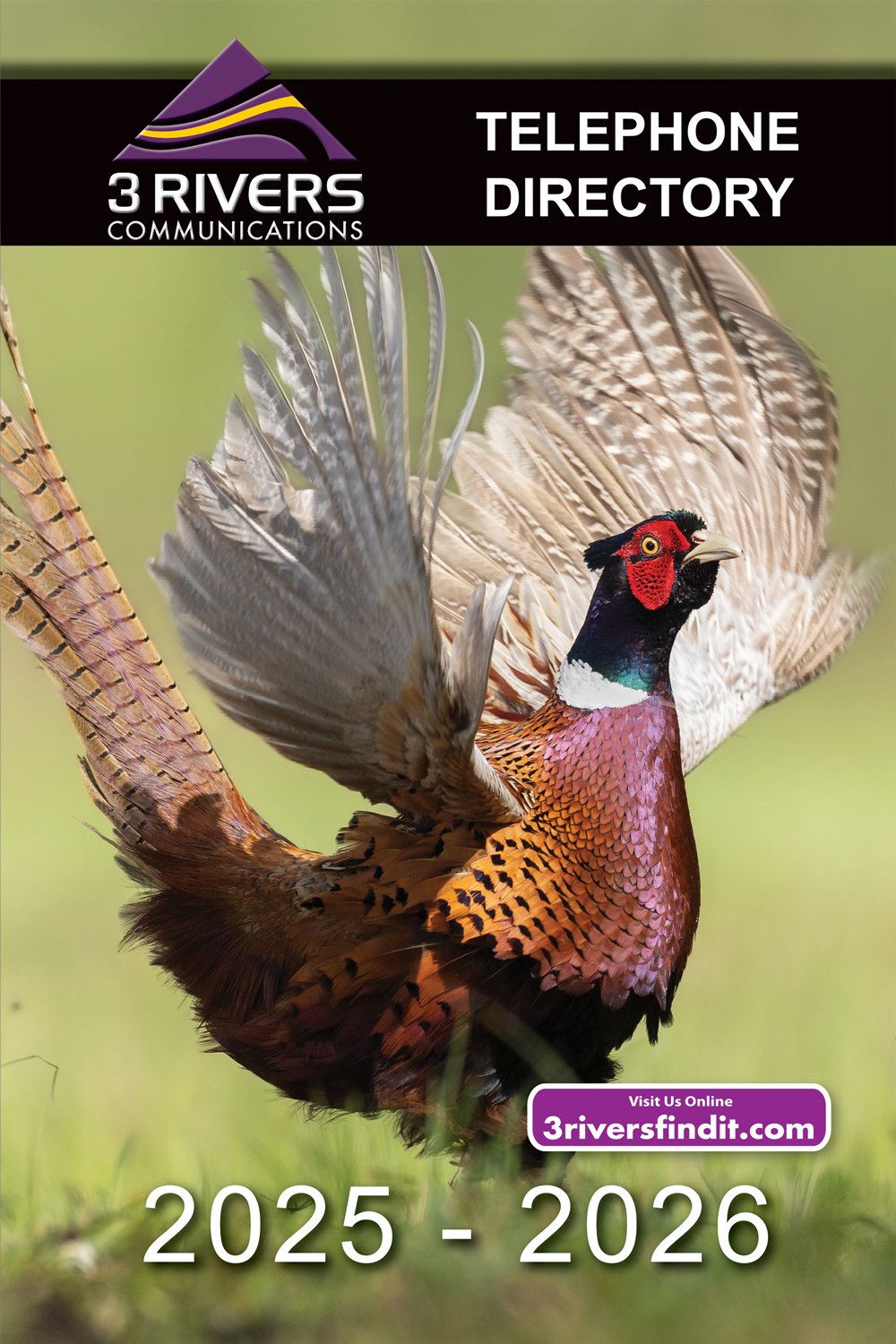 This years cover photo and... - Northern Directory Publishing | Facebook