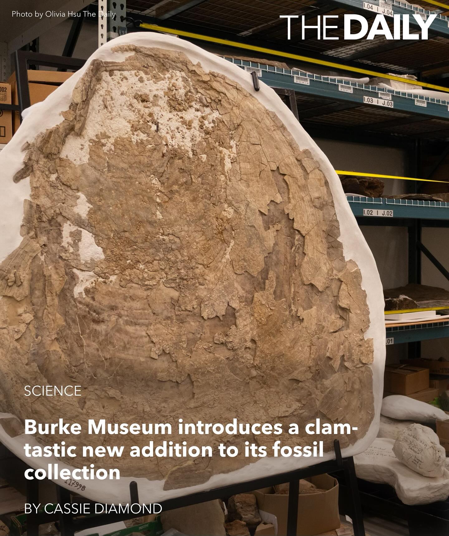 The Daily - [SCIENCE] While the Burke Museum houses many... | Facebook