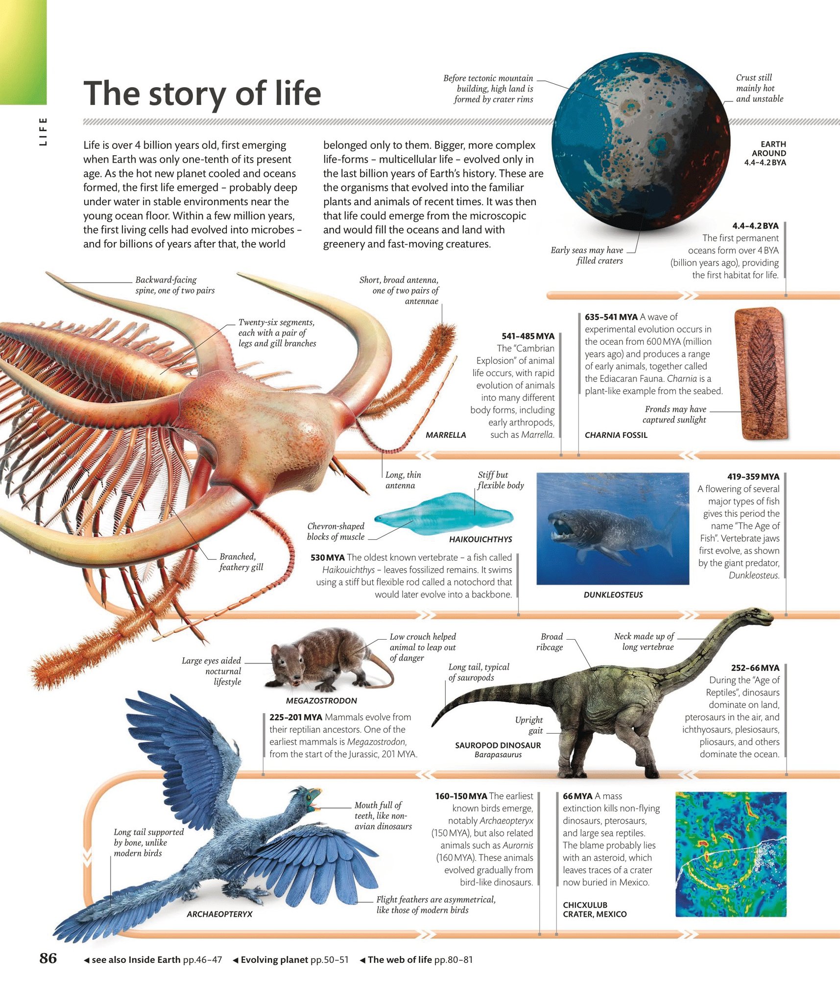 Ceres Science - The Story of Life by DK Science Knowledge. | Facebook