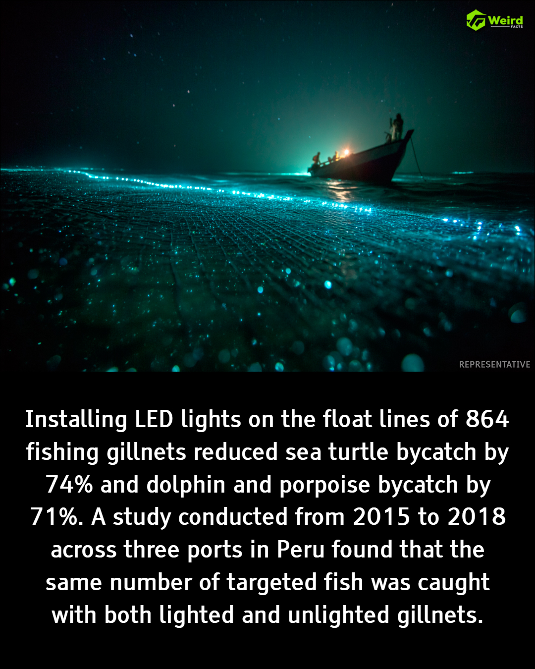 Weird - A large field test in Peru assessed whether illuminating ...