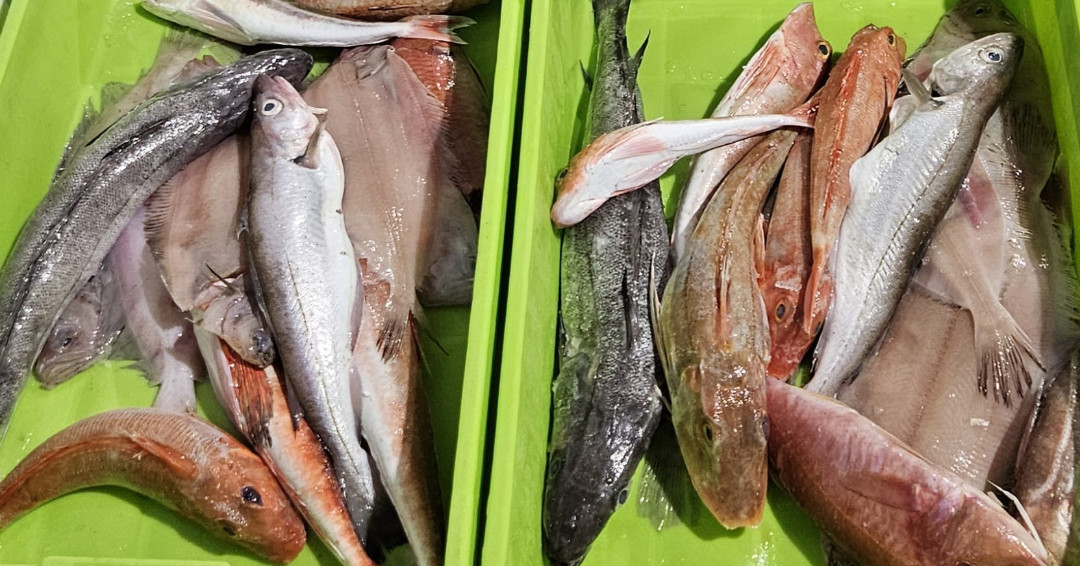 Marrfish - Great example of our chefs working with us. Asked to produce ...