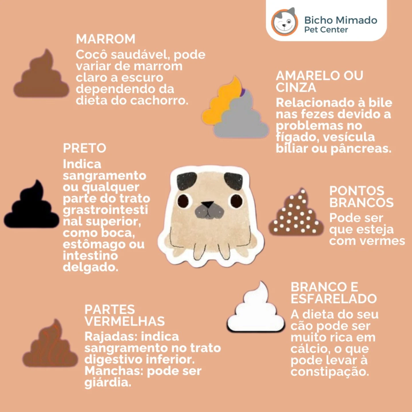A cor do... - Bicho Mimado Clinica veterinária 24h & Pet Shop | Facebook