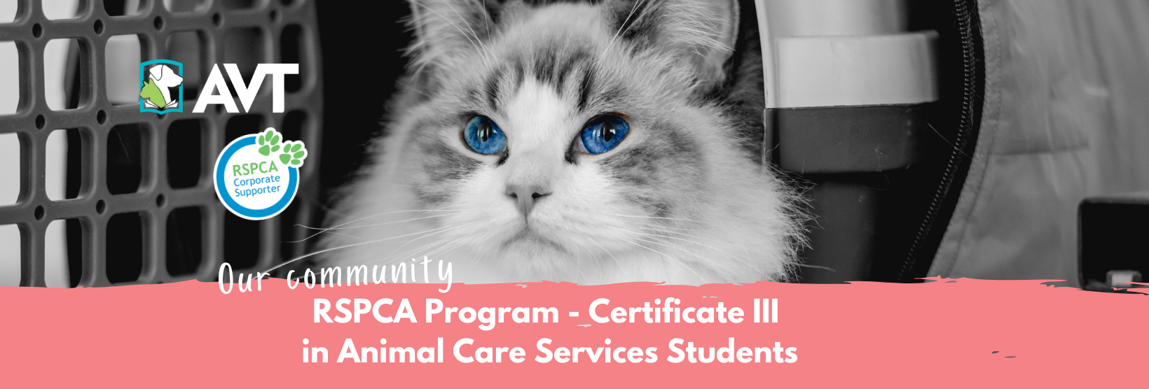 AVT RSPCA Cert III Animal Care Services December 2025 Students | Facebook