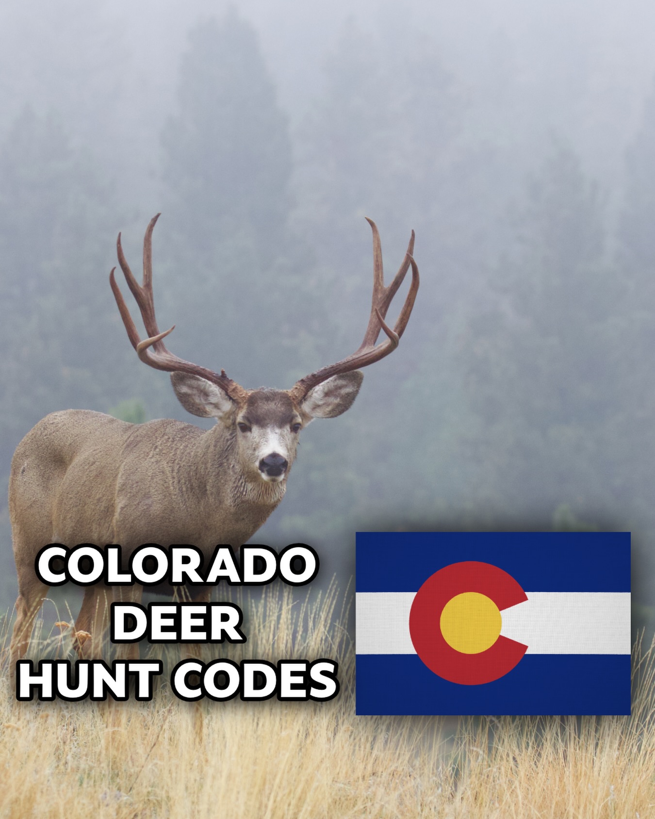 Muley Tines - What a “Hunt Code” Is (and How It Works in... | Facebook