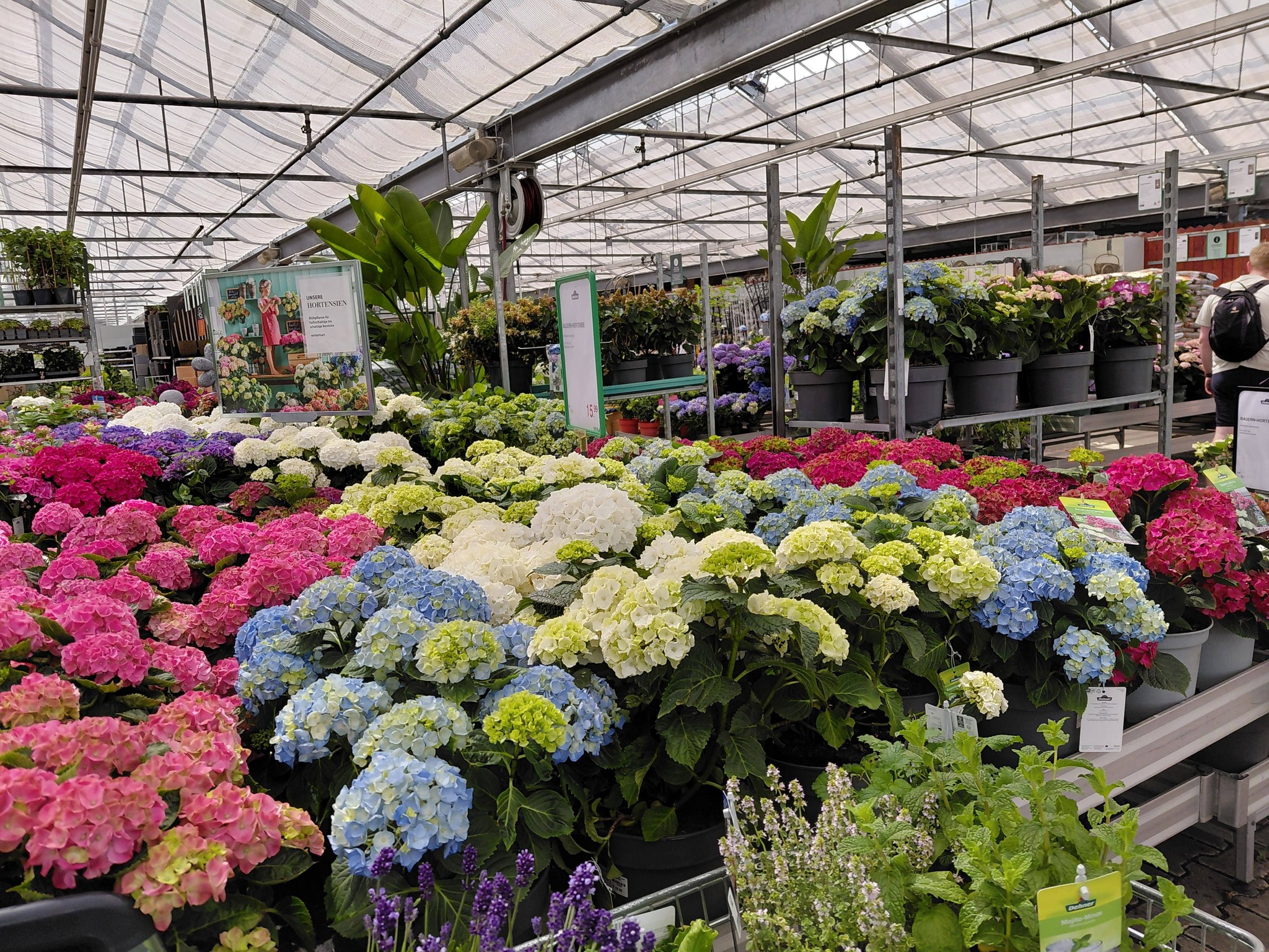 Hallo ihr lieben bin wieder zu Hause ..Ich war heute in Halle ( Saale ) bei Dehner und habe mir ein paar Blumen und noch ein paar Pflanzen gekauft. Kommt gut in