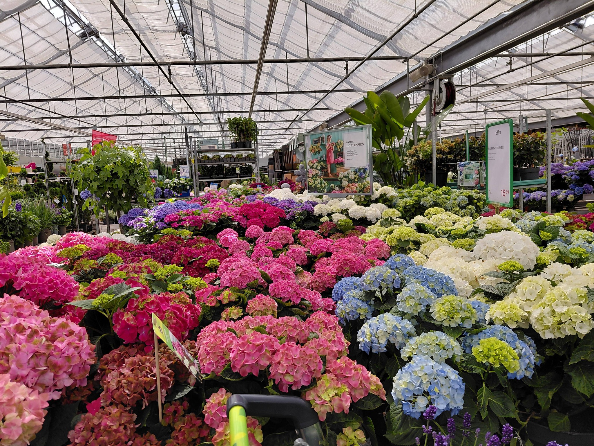 Hallo ihr lieben bin wieder zu Hause ..Ich war heute in Halle ( Saale ) bei Dehner und habe mir ein paar Blumen und noch ein paar Pflanzen gekauft. Kommt gut in