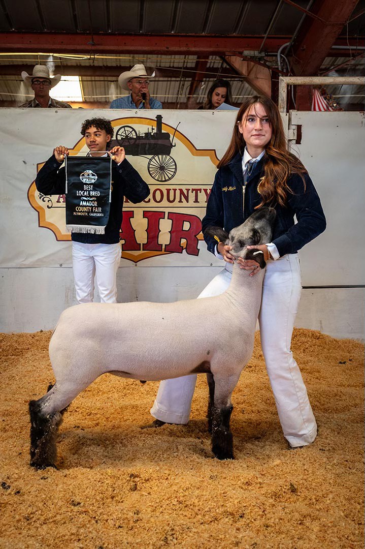 Amador - Ralph Clark Memorial Junior Livestock Auction ...