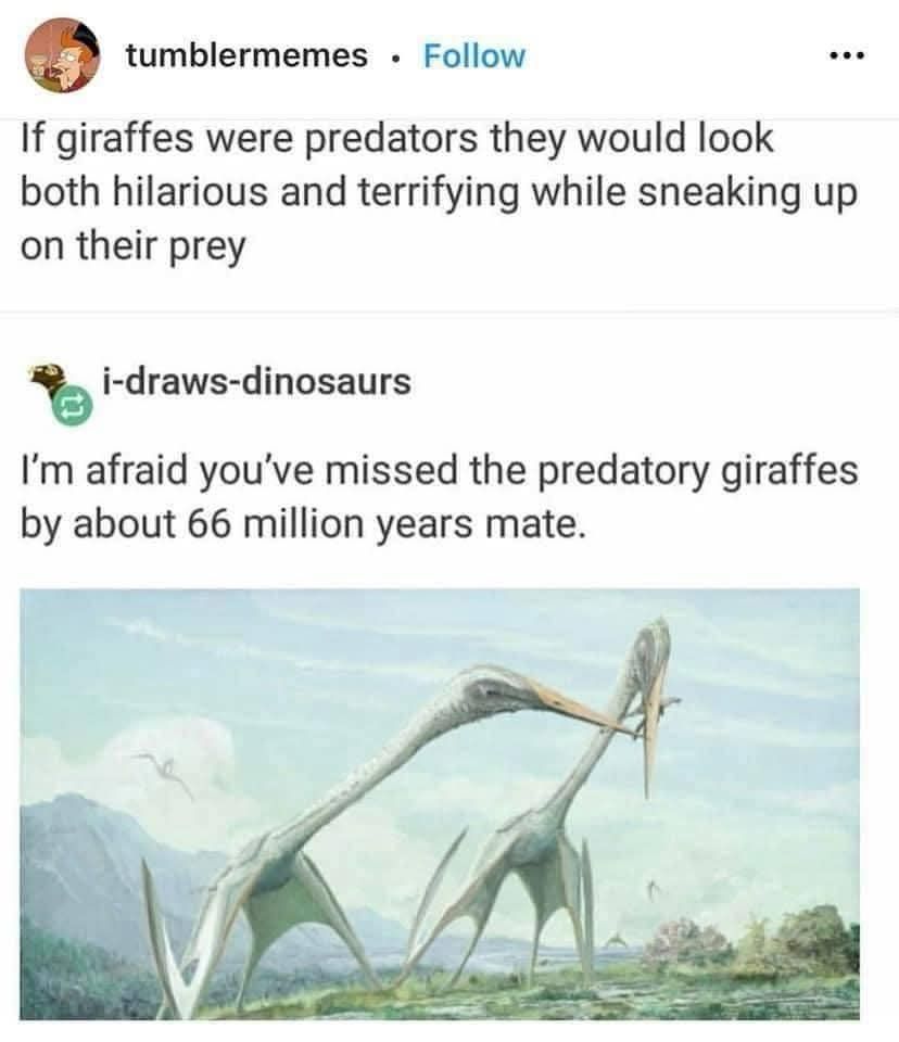 Lindsey - I think, in paleontology circles, we've come to take for ...