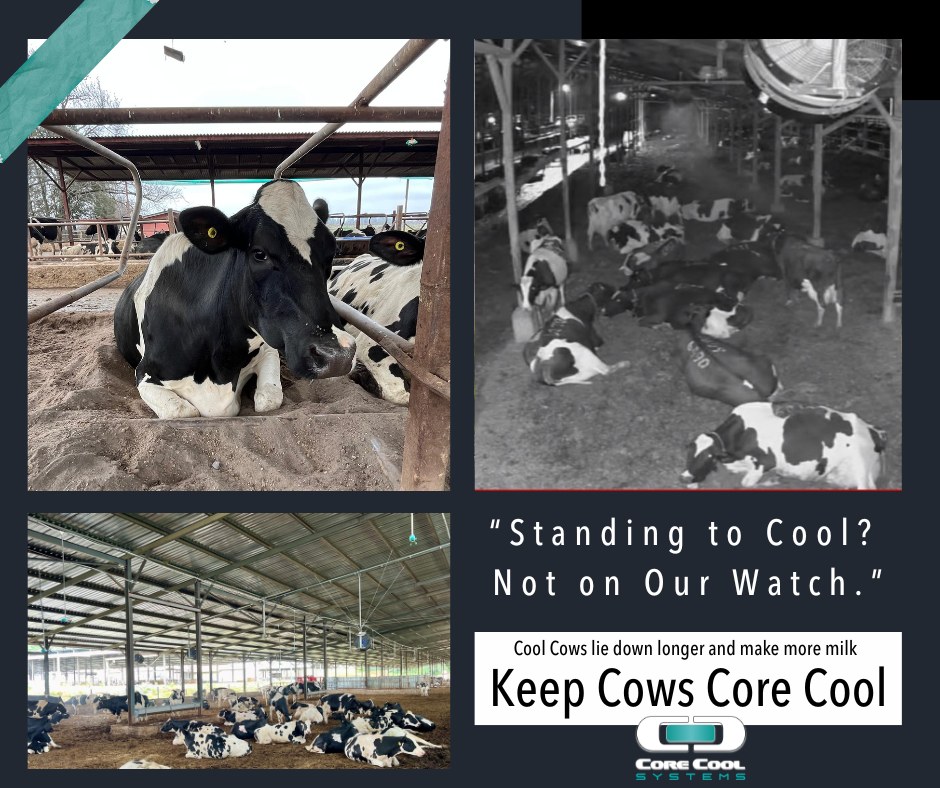 Standing to Cool? Not on Our Watch.... - Core Cool Systems | Facebook