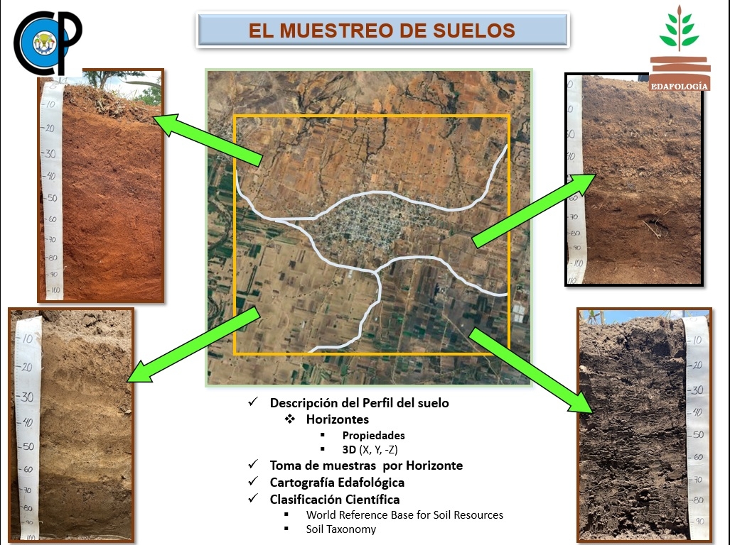 La Lutita es una roca del grupo de las 