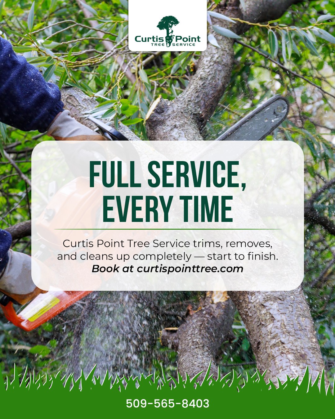 Curtis Point Tree Service | Cheney WA