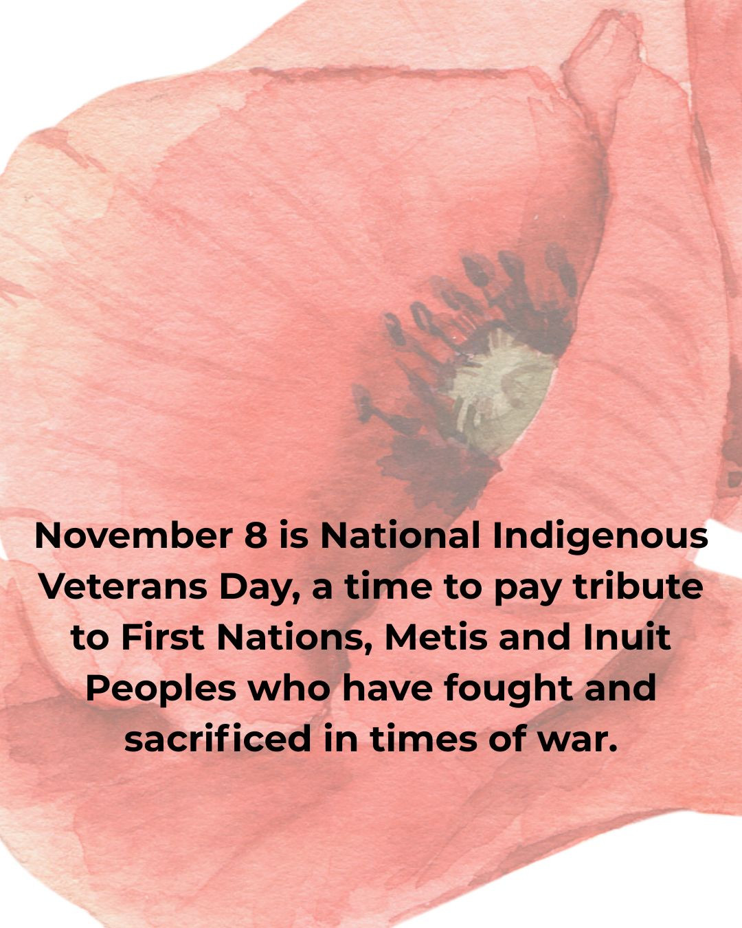 Oliver - Today is National Indigenous Veterans Day. First Nations ...