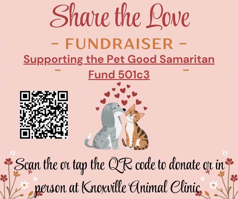 Knoxville - Please join us in supporting this 501c3 Good Samaritan Fund ...