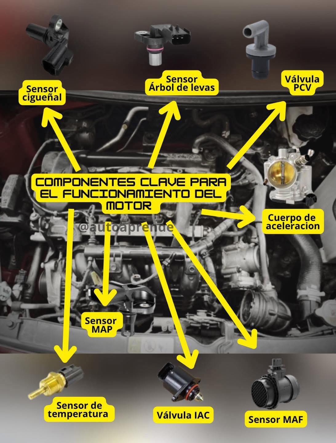 Auto - Sensores y componentes para el funcionamiento del motor 🚘👇 ...