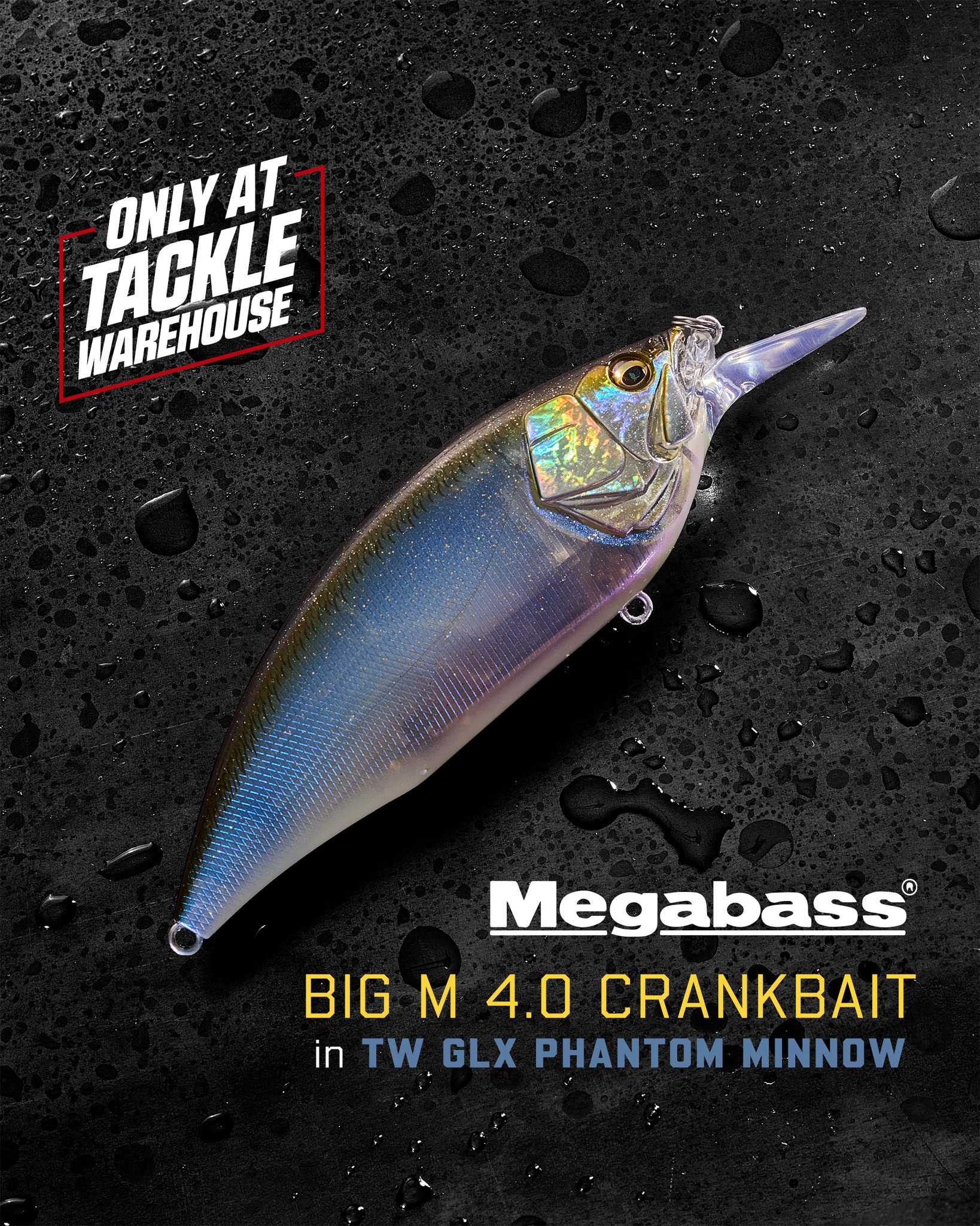 ⚡ LIMITED RELEASE ⚡ Available exclusively🤯 at Tackle Warehouse