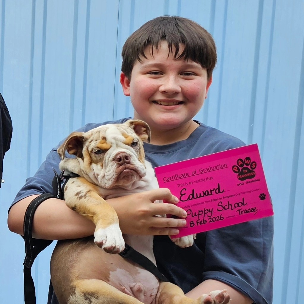 CONGRATULATIONS TO OUR... - Paws in Progress Dog Training | Facebook
