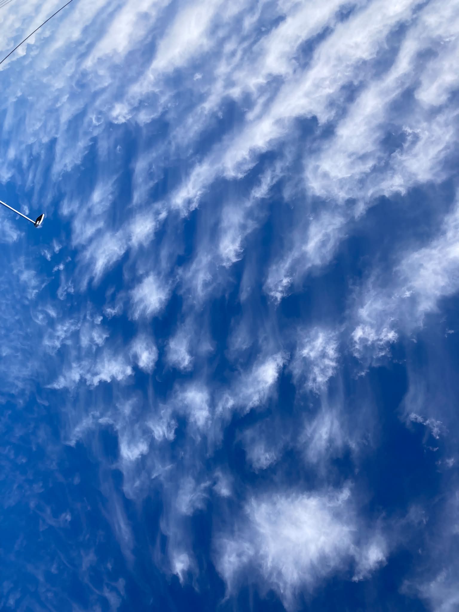 珍しく、朝早くにお出掛け。 雲が楽しかった！