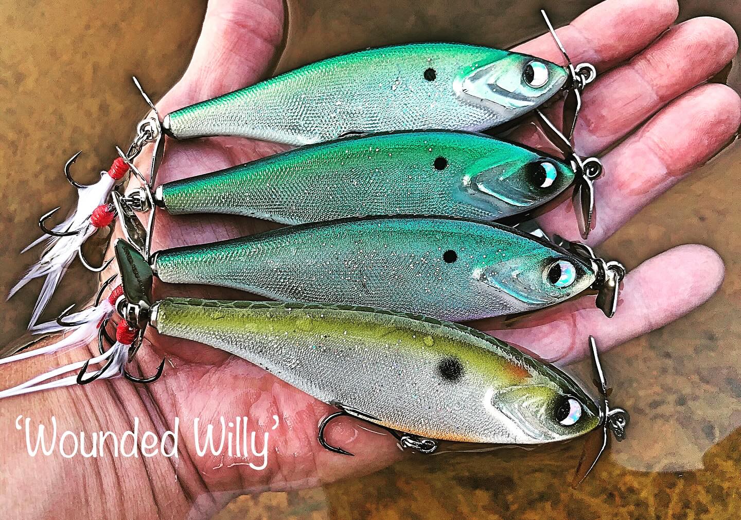 Blue Ridge Bait Company | Hendersonville NC