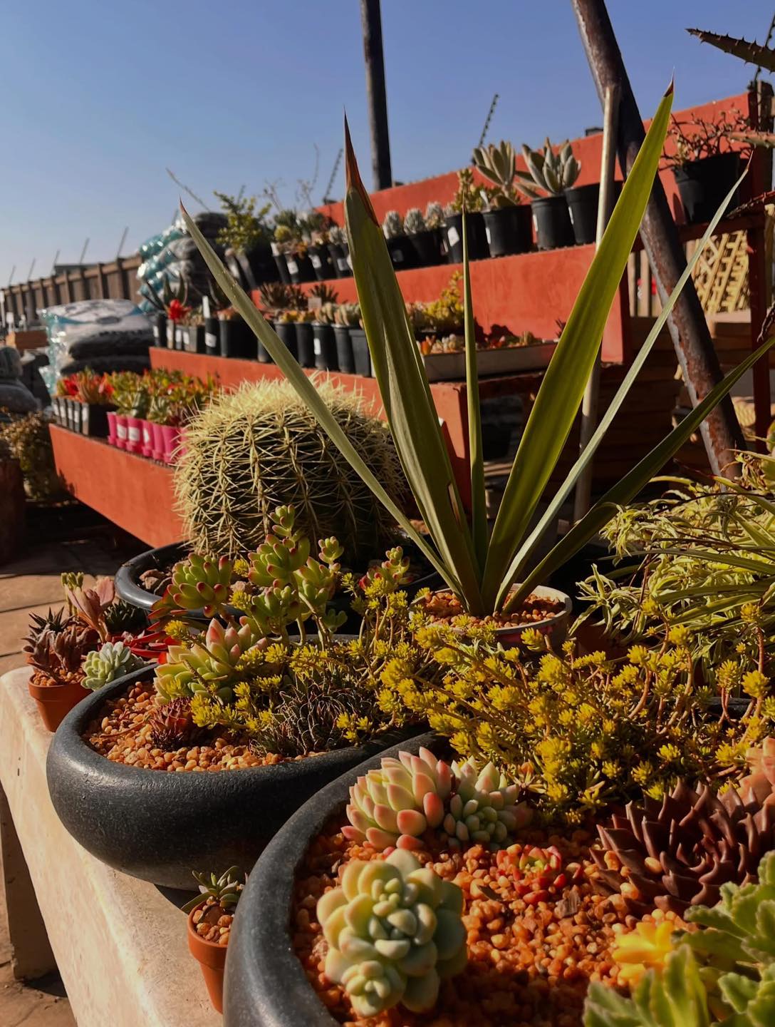 KEENGRO GARDEN CENTRE Rietvlei Zoo Farm 💚 This month is all about