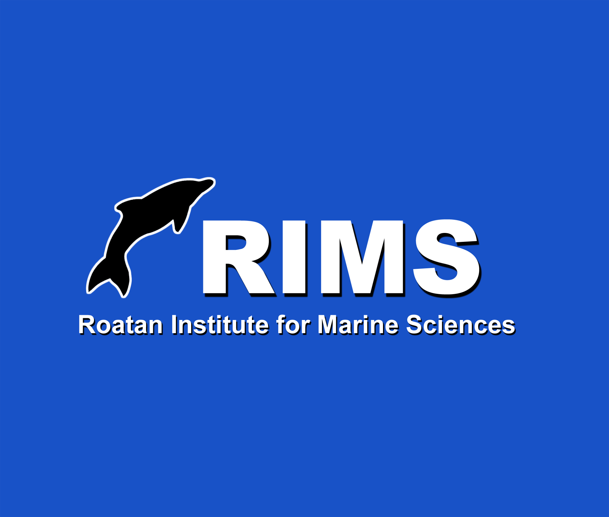 The RIMS dolphin... - Roatan Institute for Marine Sciences