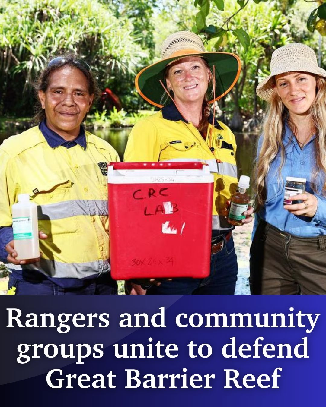 Cairns - Community groups and traditional owners have joined forces to ...
