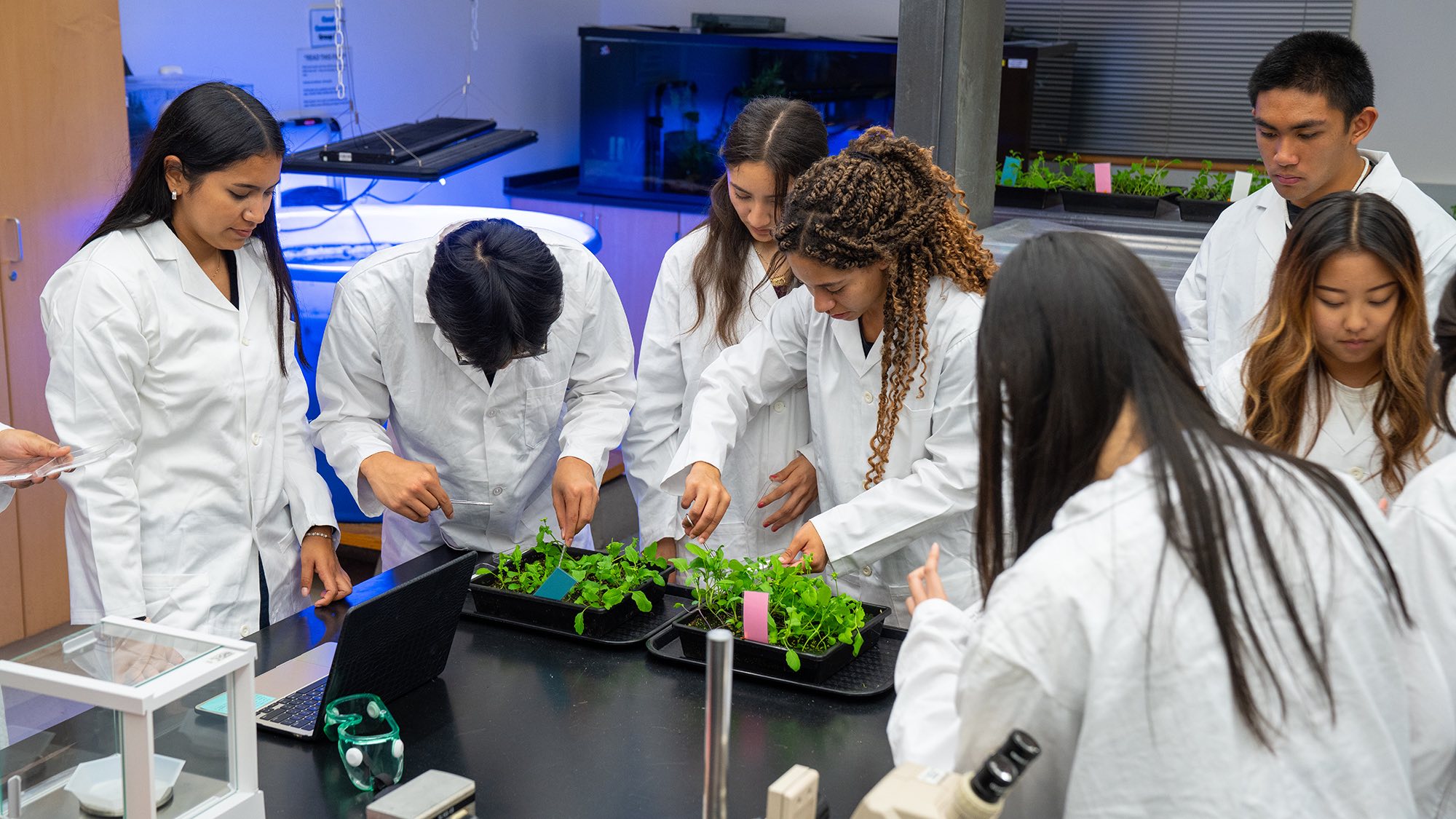 UC Davis College... - UC Davis College of Biological Sciences