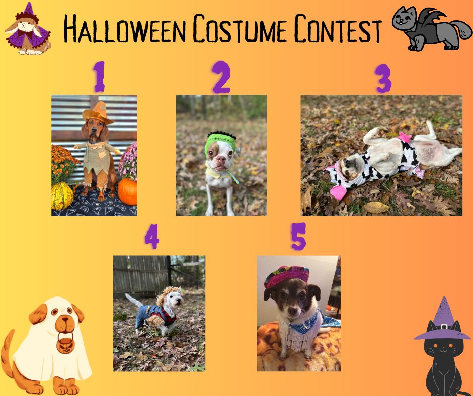 Charlottesville - 🌟 Halloween Costume Contest is here! 🌟 The ...