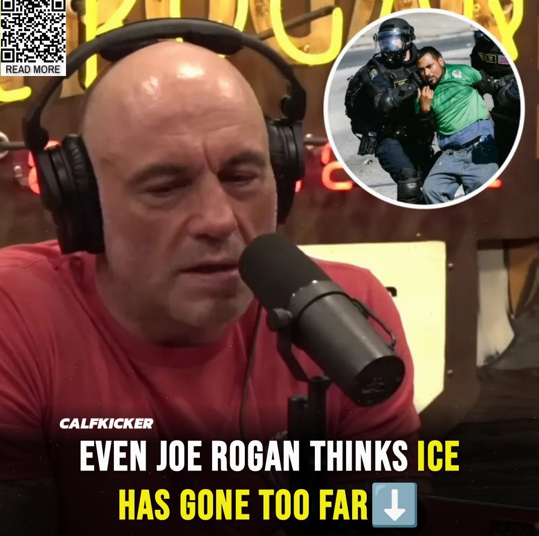 The Last - Joe Rogan expresses serious concerns about Immigration and ...