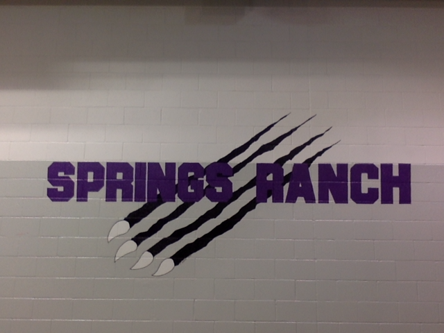 Springs Ranch Elementary P.E. | Colorado Springs CO