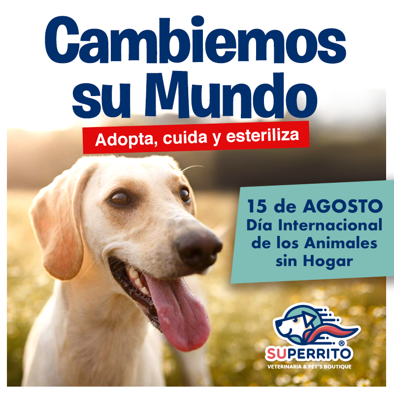Superrito - 🐕🐈 Hoy se conmemora el 