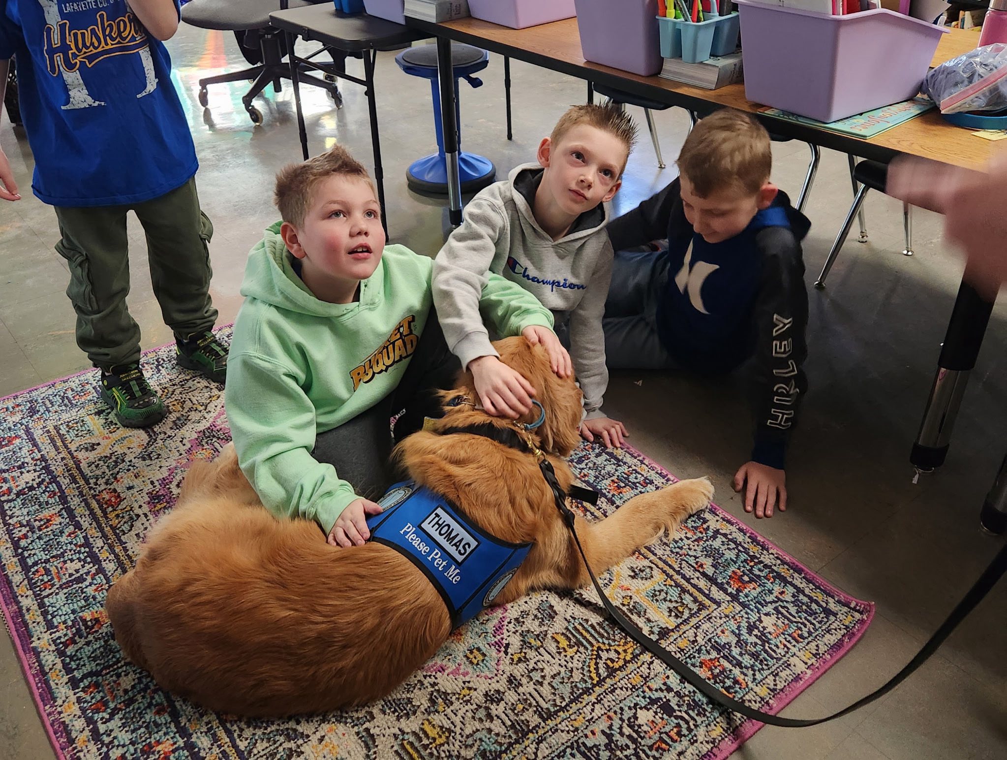 Thomas Comfort Dog