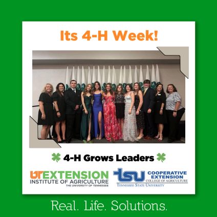 🌟 It’s National 4-H Week!... - UT Extension - McNairy County | Facebook