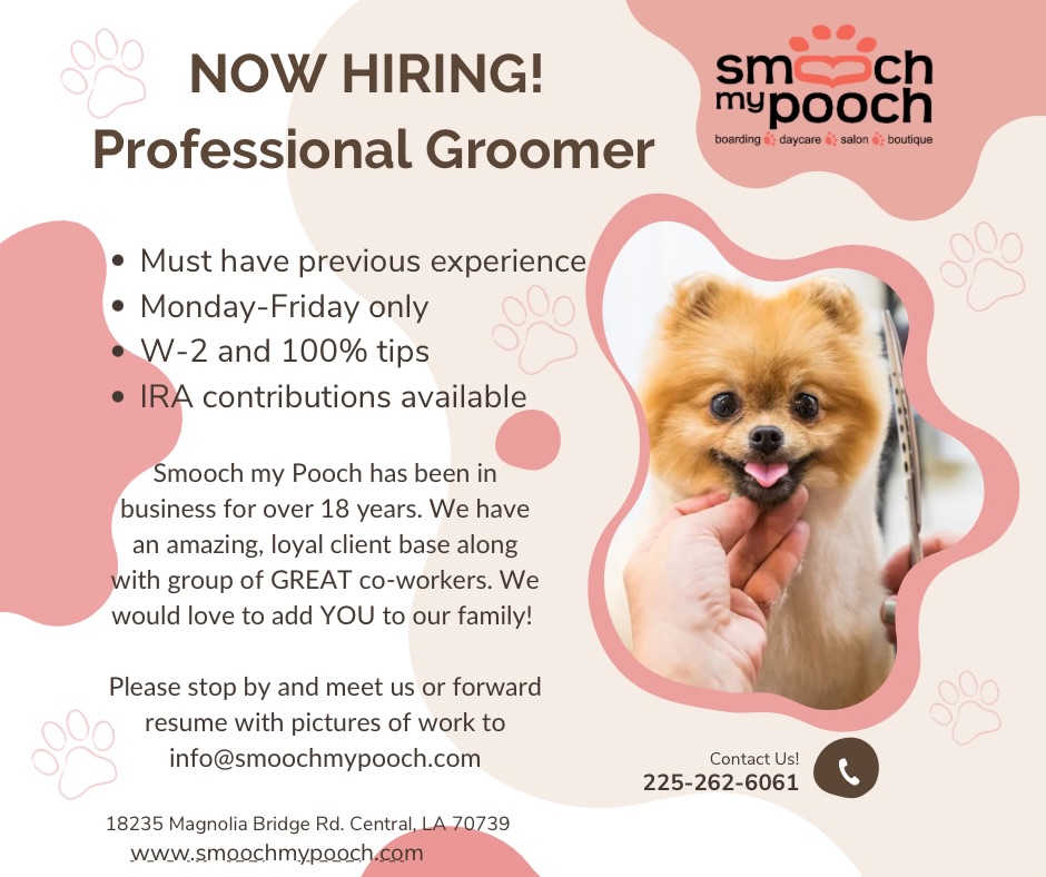 Curated visual reference: Groomer Tips For Loyal Clients Reference: Smooch My Pooch