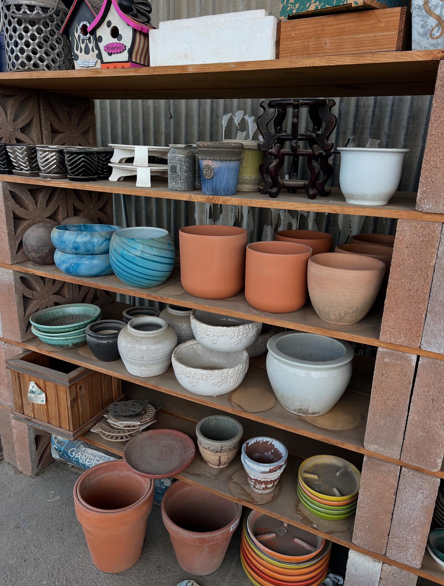 Peters Nursery &amp; Garden... - Peters Nursery &amp; Garden Center
