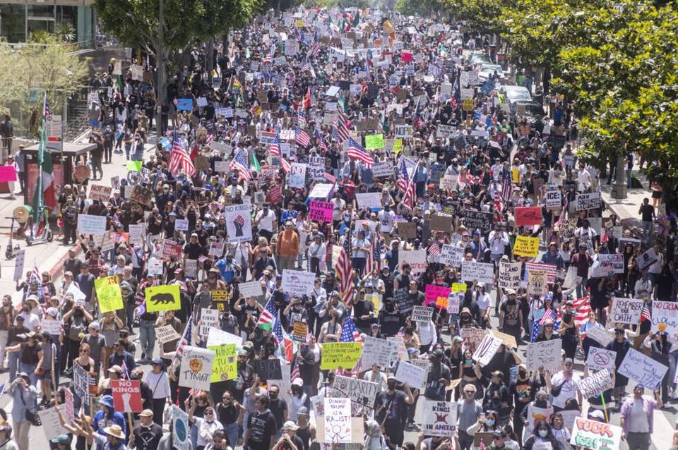 Montana PROTEST! | Facebook