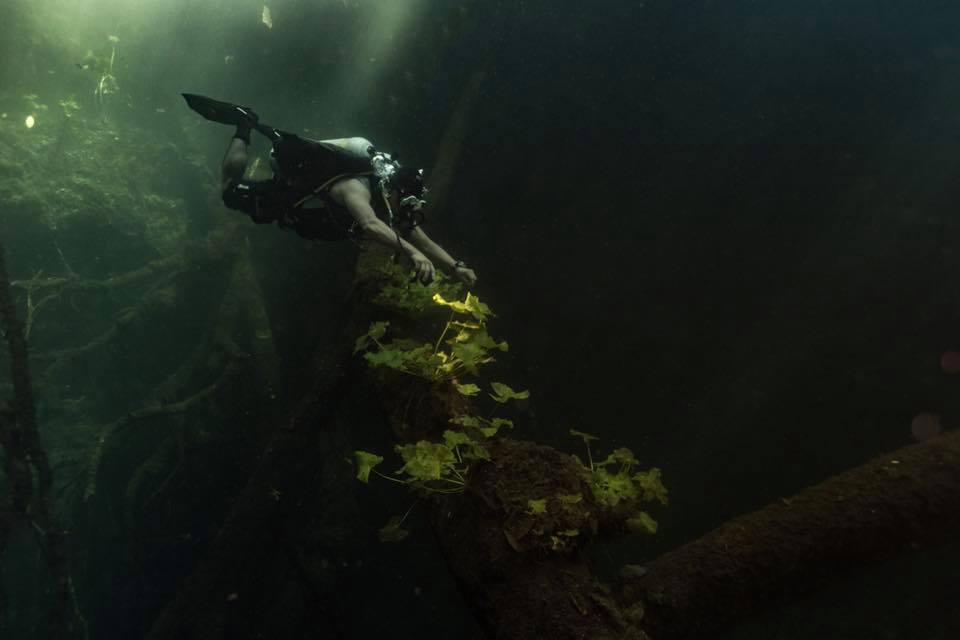 Te has preguntado qué hay... - Kin-Ha Cenotes Página Oficial