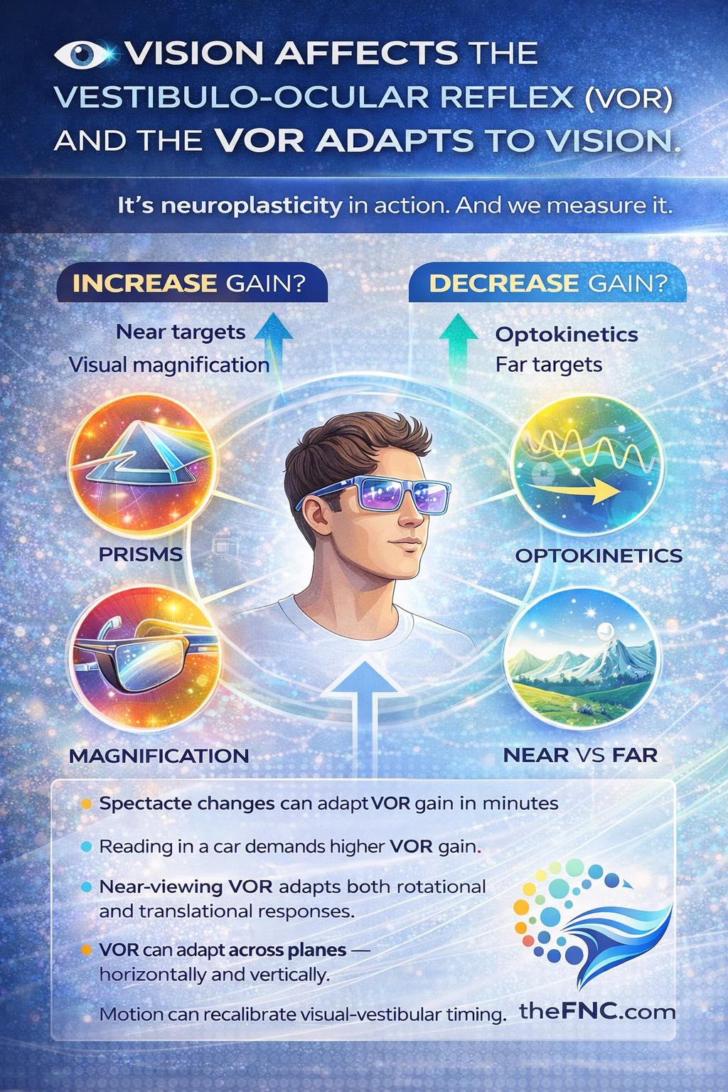 The Functional - 🧠👁️ Vision Changes the VOR. And the VOR Changes How ...
