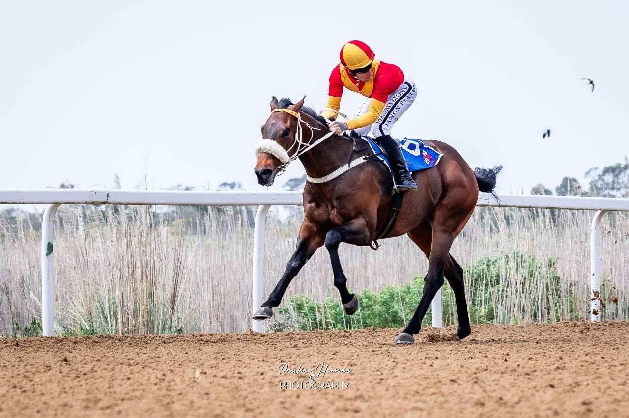 🐎 What a day for the yard... - Gavin Smith Racing Stables | Facebook