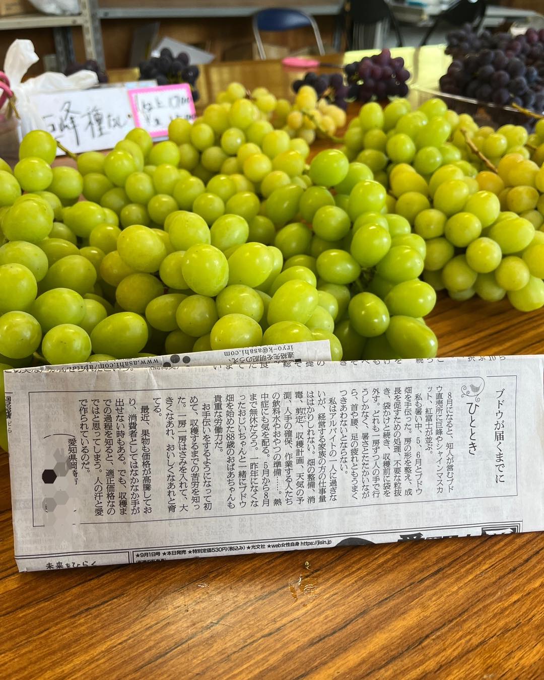 シャインマスカット販売しています！】 初日よりたくさんの方にご来店