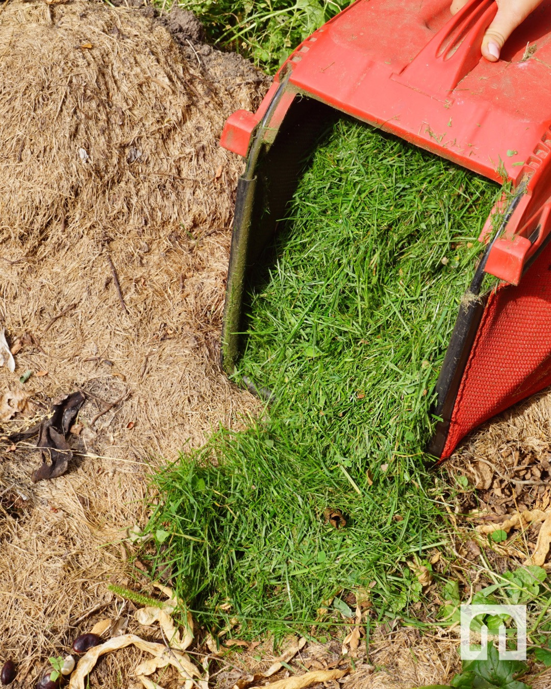 Melnor Inc. - 🍃 Grasscycling = free mulch + less waste. 🔄... | Facebook