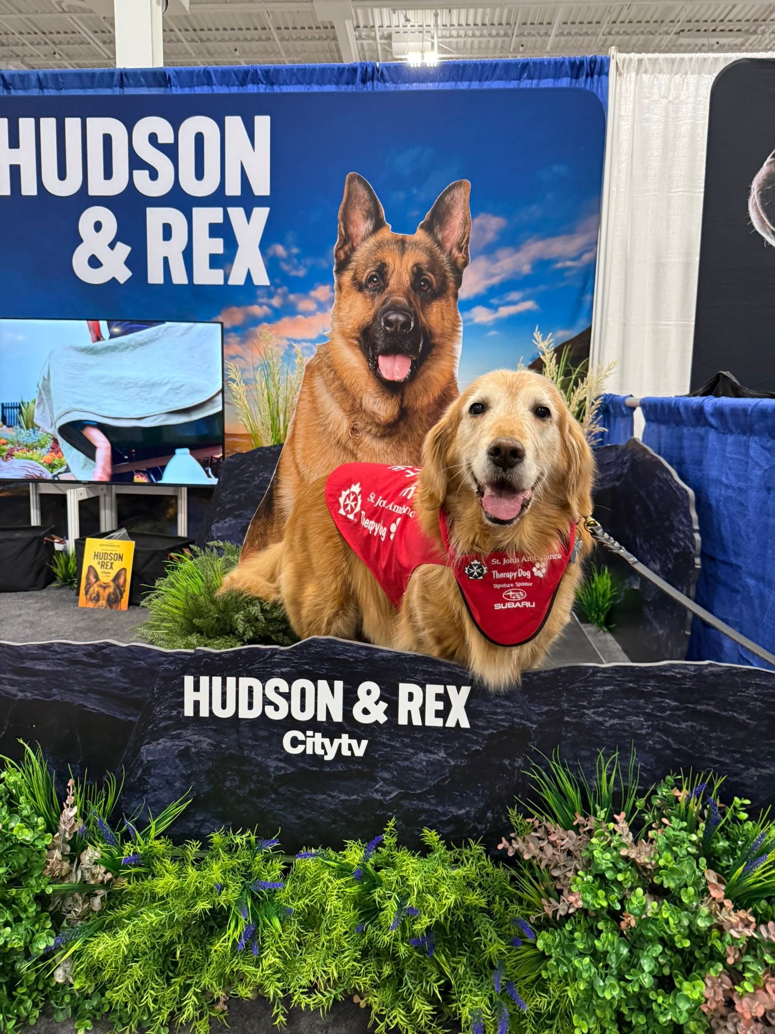🐾 Thanks to everyone who stopped... - Hudson & Rex on Citytv | Facebook