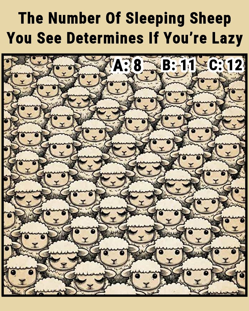 The Number Of Sleeping Sheep You... - nametests.com English | Facebook