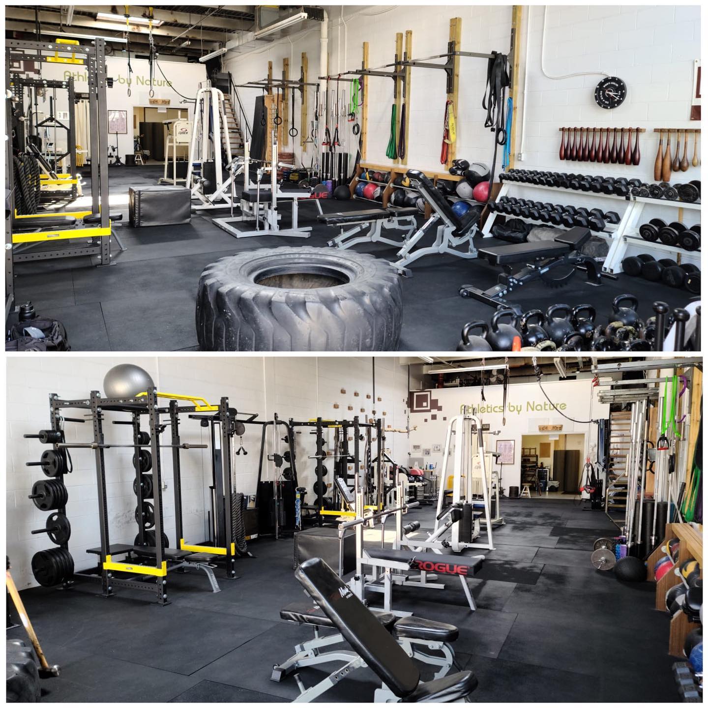 Iron Strength & Conditioning
