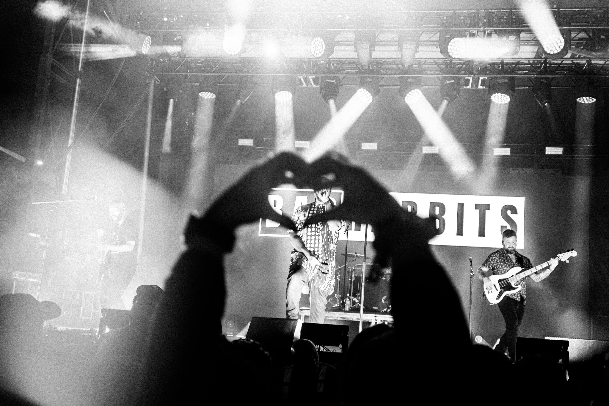 Bad Rabbits