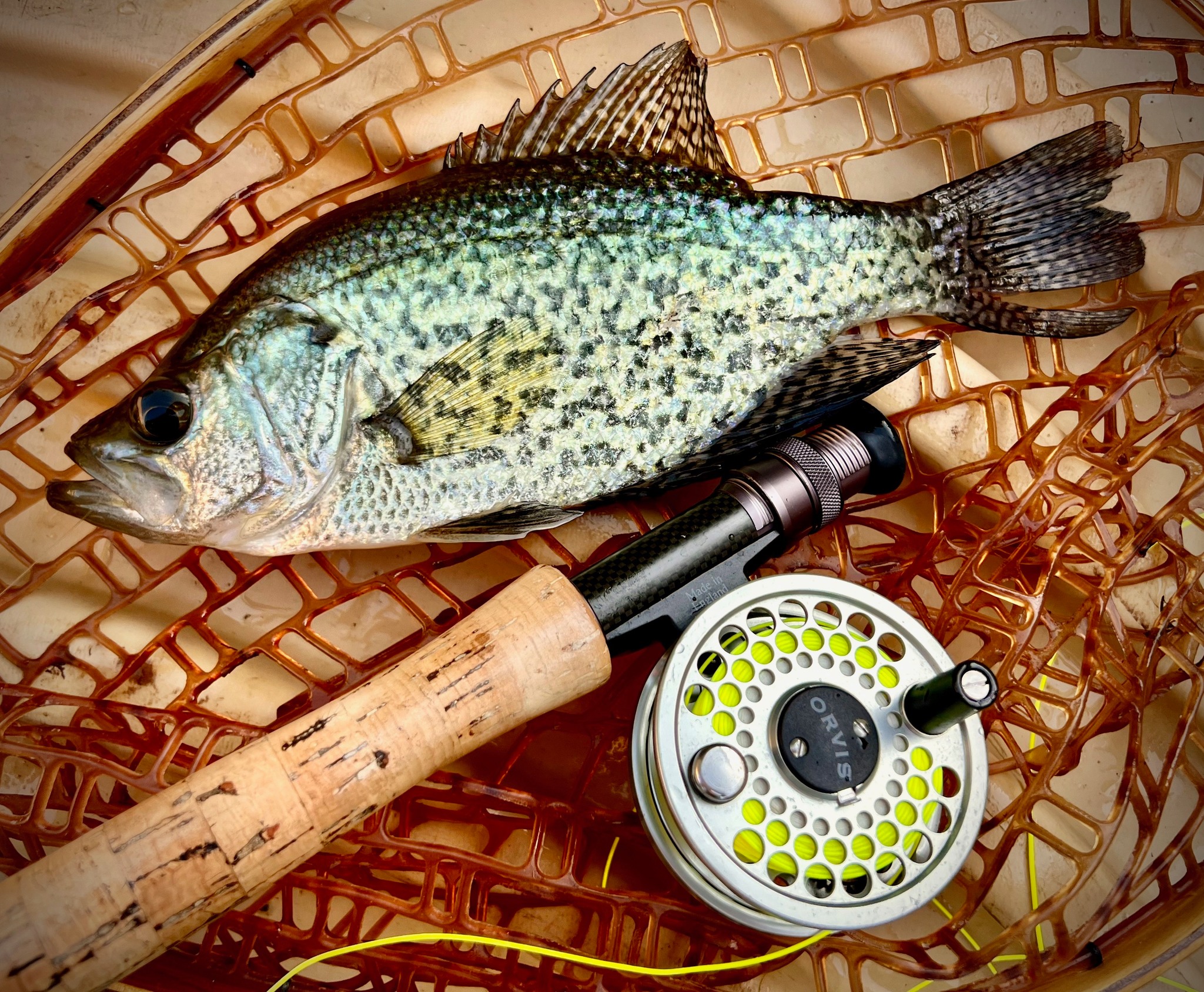 crrappie fishing fly rod Okuma TEC Custom Crappie Spinning Catch The Fever Precision Jig Rear Seat with Fighting Butt rod shares similarities with the rear reel seat design but includes a fighting butt past the reel seat Catch The Fever Precision Jig