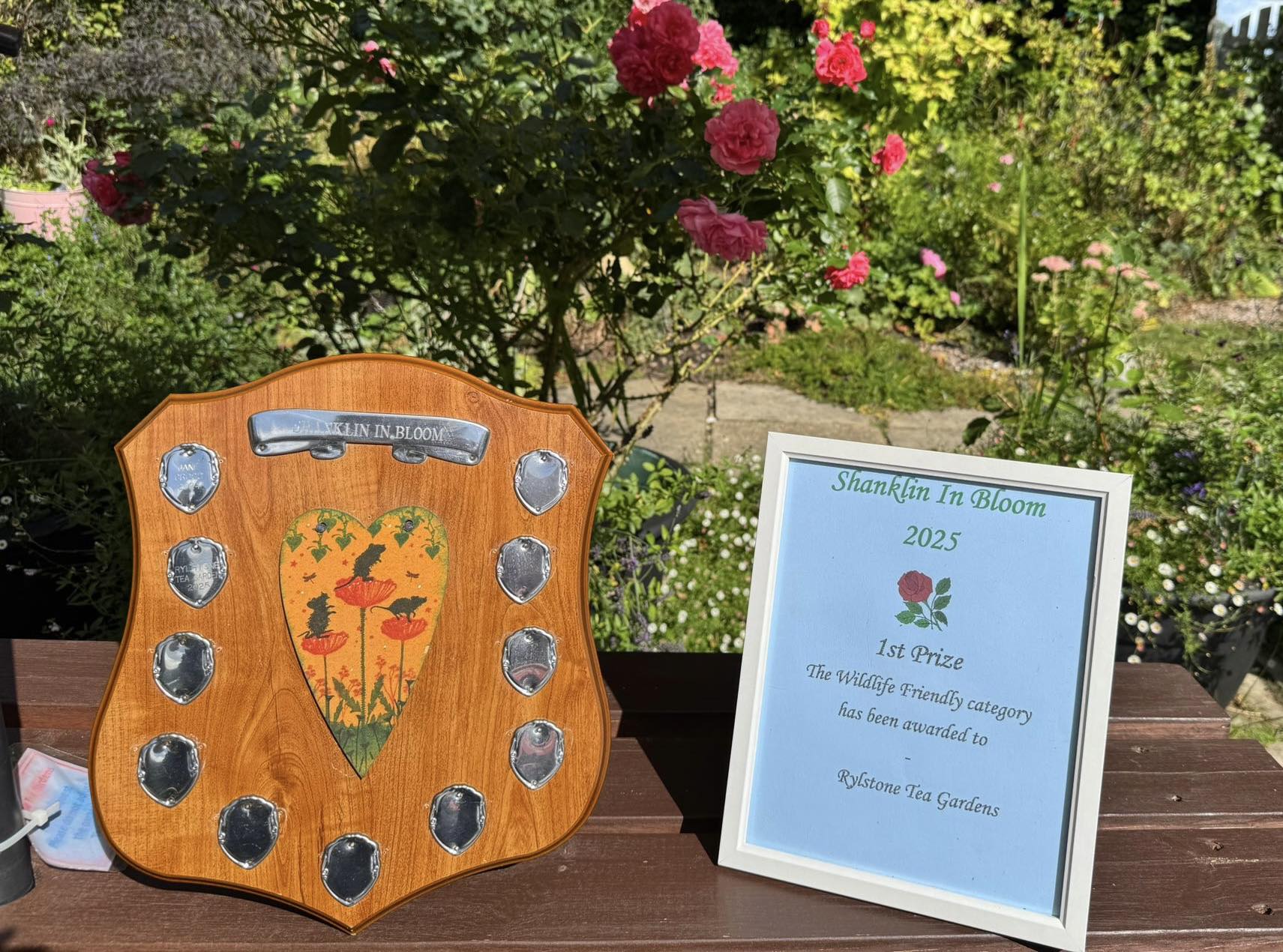 Rylstone - We are very proud to announce we have won both 1st Place in ...
