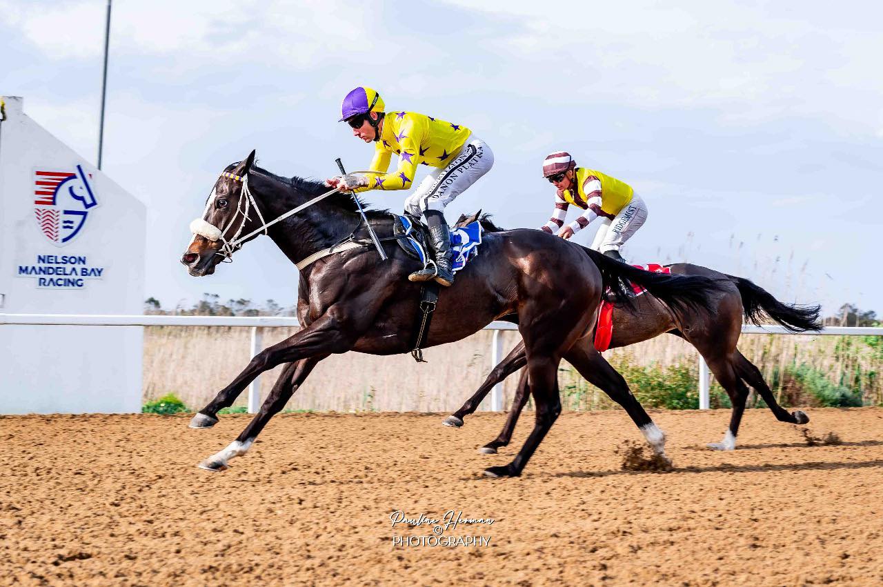 Gavin Smith Racing Stables... - Gavin Smith Racing Stables