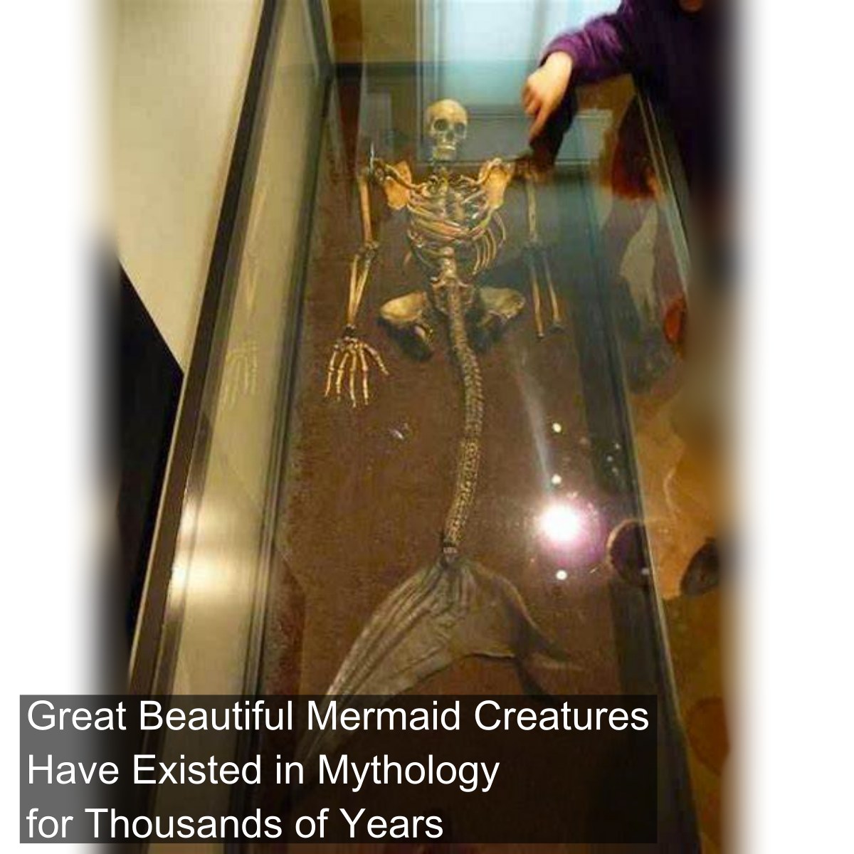 The first myths of mermaids... - Classics and Ancient History